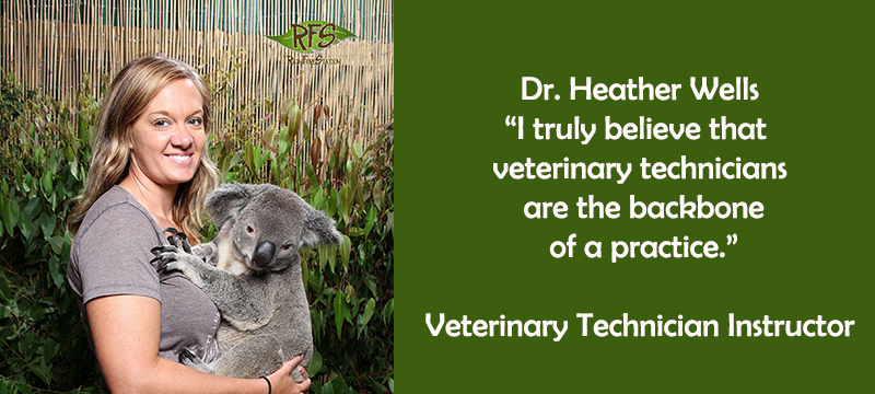 Veterinary Technician Training With Instructors Like Dr. Heather Wells |  ROCKFORD CAREER COLLEGE