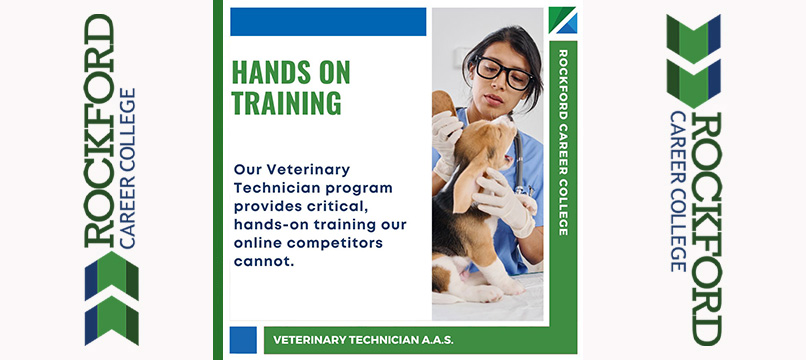 Why Hands-on Veterinary Technician Campus-based classes are better than online | ROCKFORD CAREER COLLEGE