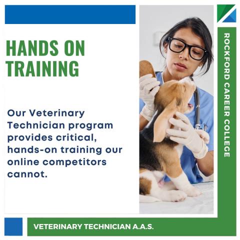 Why Hands-on, Campus-based classes are better than online when studying to become a Veterinary Technician