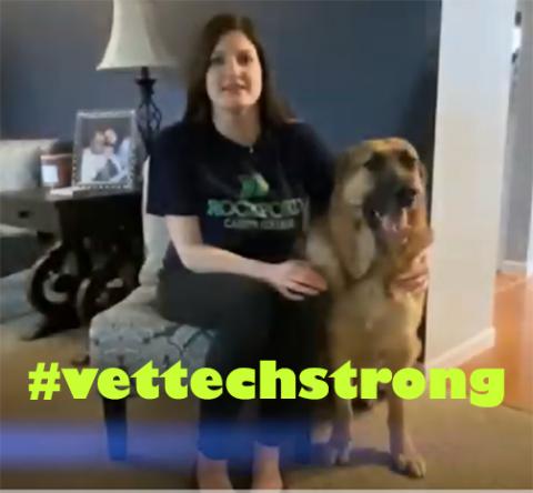 vet tech strong
